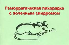 Памятка для населения: Меры профилактики геморрагической лихорадки с почечным синдромом Памятка для населения: Меры профилактики геморрагической лихорадки с почечным синдромом